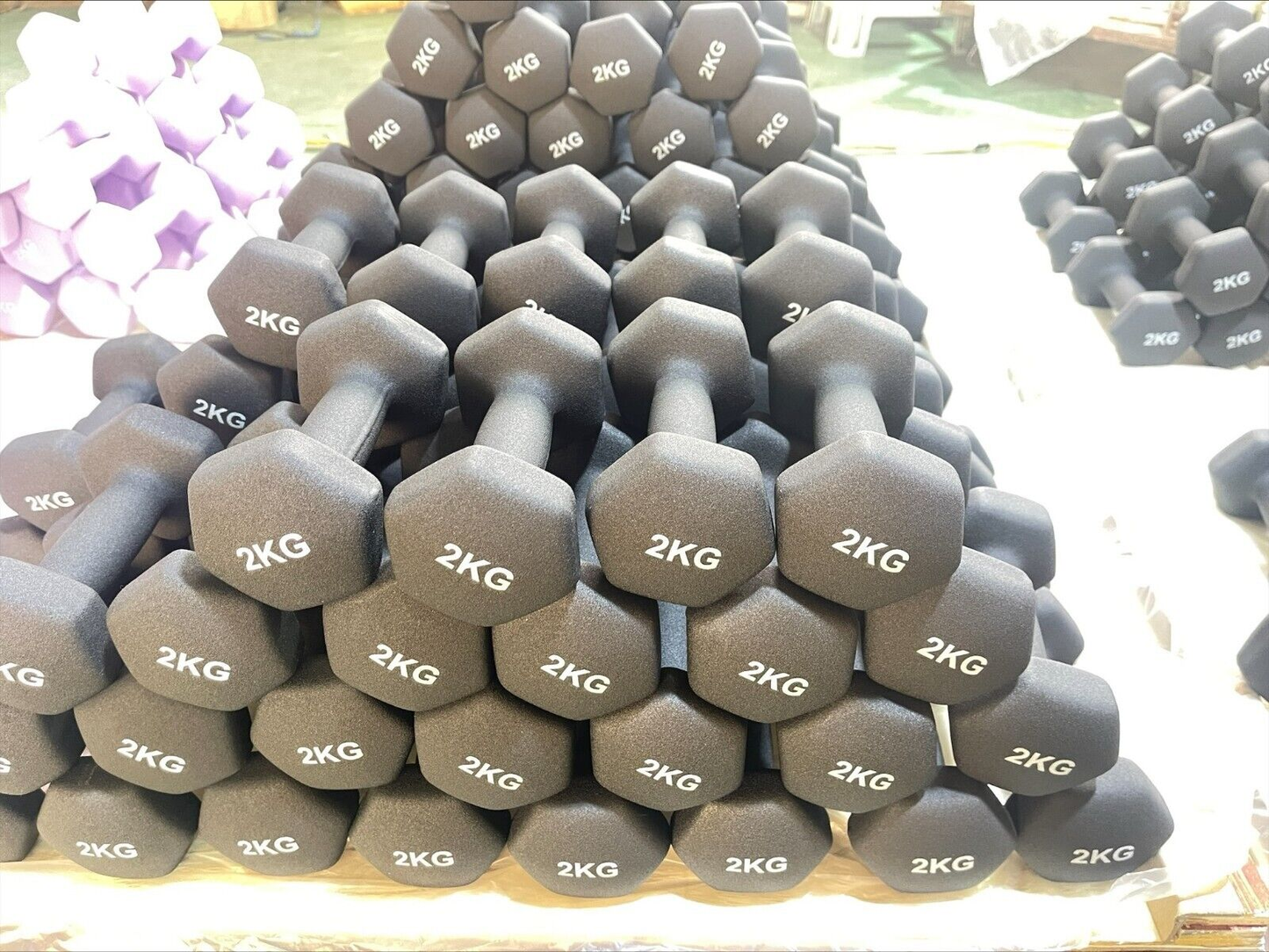 Neoprene Dumbbell Pair for Home & Gym Fitness